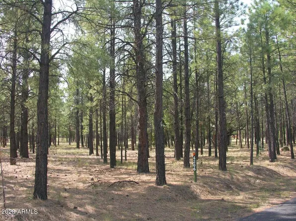 4206 Timberline Drive #004, Happy Jack, AZ 86024