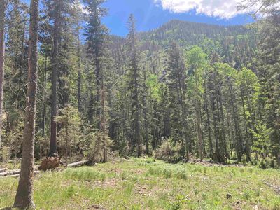 13 Zaps Rd, Taos Ski Valley, NM, 87525