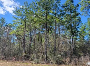 15835 Ridge Rock Rd, Willis, TX 77378