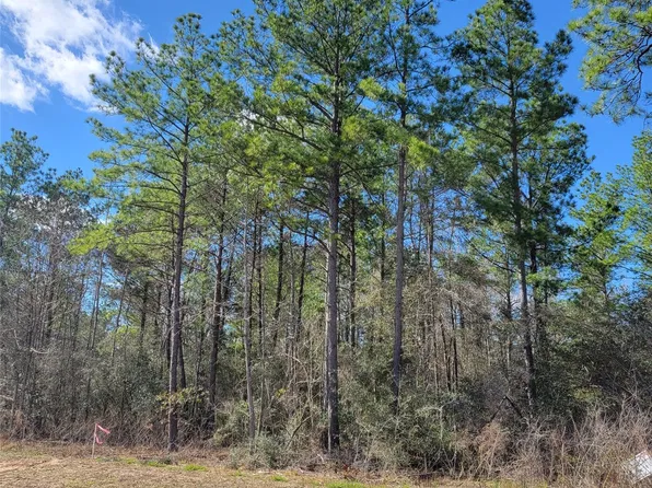 15835 Ridge Rock Rd, Willis, TX 77378
