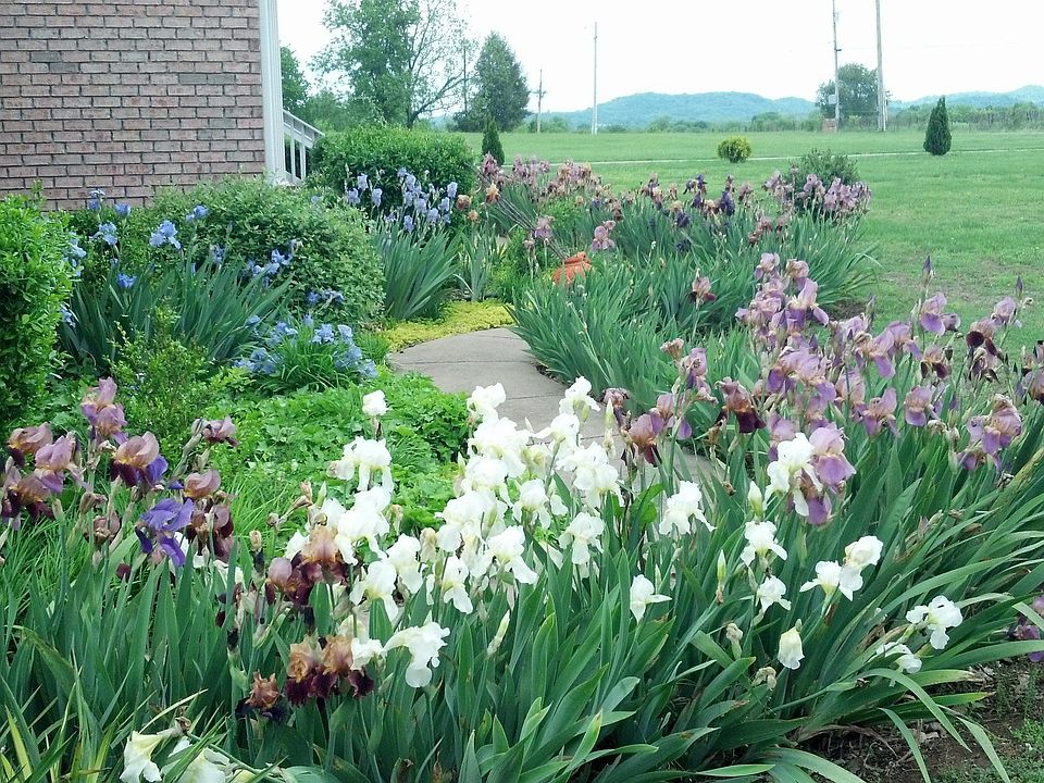 A Gardener's Delight