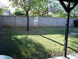 Large backyard 