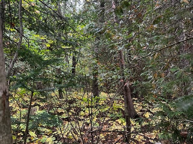 1st image of 7 Shore Rd