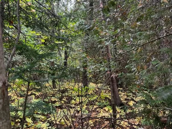 7 Shore Rd, Saugeen Shores, ON N0H 2L0