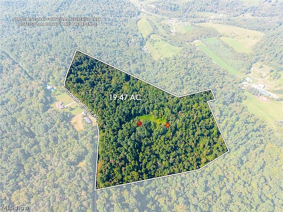3rd image of Pumpkin Ridge Rd