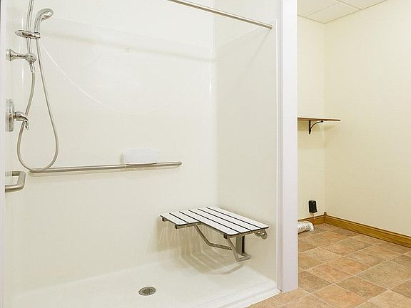 Shower Wheelchair Accessible