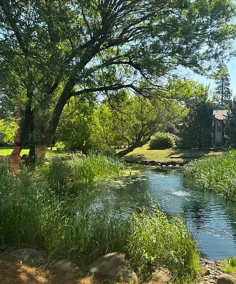 Kesia Ct — Photo 18
