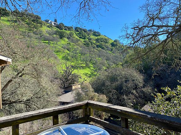 Sweeping view of the lush hillside from the back deck.