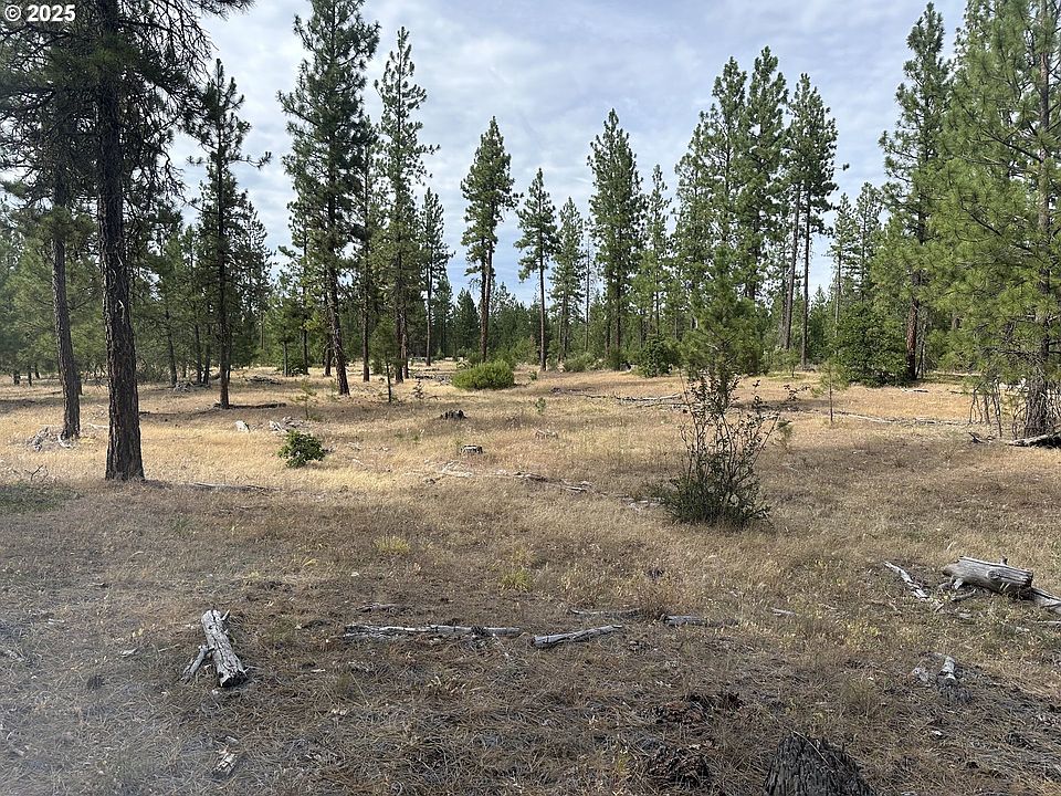 1st image of 3 Greyback Mount Rd