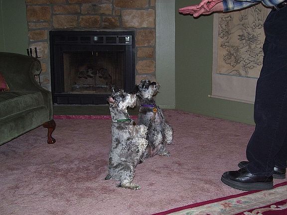 Fireplace and the girls