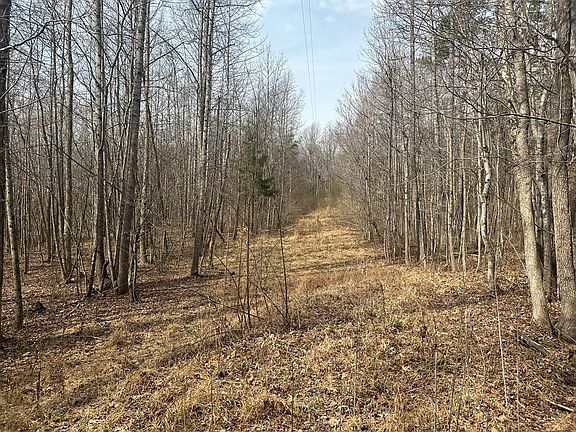 5th image of 35 Coxs Store Rd