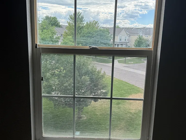 view from window