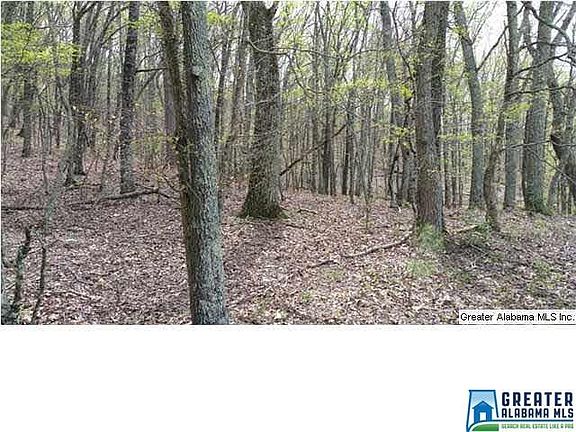 3rd image of 38 Lynn Dr