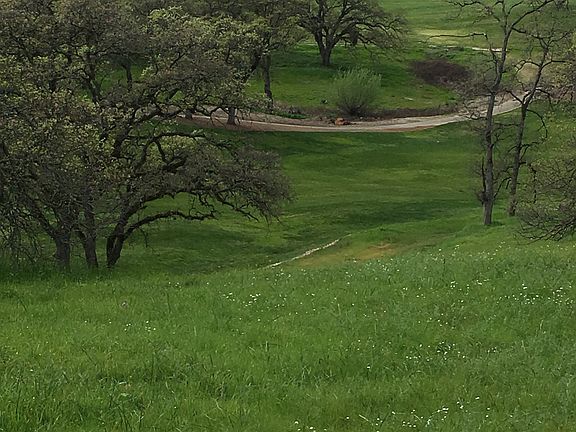 2nd green back of lot