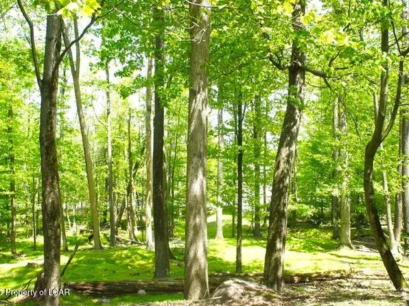 332 Shingle Mill Dr, Drums, PA 18222