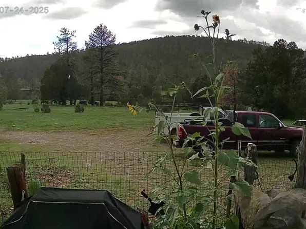 51 Perk Canyon Rd, Weed, NM 88354
