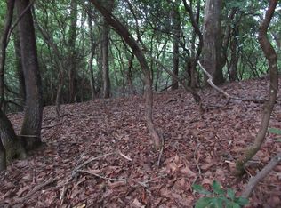 0 Garden Ln, Franklin, NC 28734