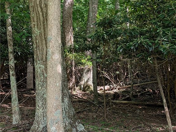 3rd image of TBD Bledsoe Creek Road