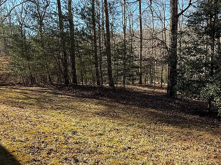 Peaceful Stream Trl — Photo 6