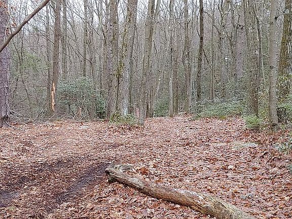 5th image of E White Bear Dr
