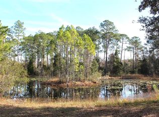 1123 Church St #60, Pierson, FL 32180