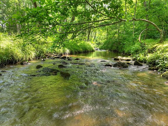 4th image of 316 Pigeon Creek Rd