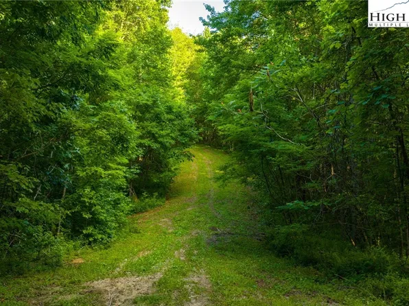 TBD-5 Big Laurel Road, Creston, NC 28615