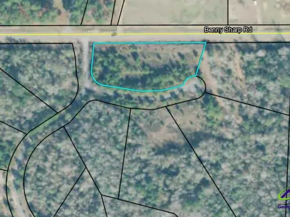 0 Benny Sharp Rd, Hawkinsville, GA 31036