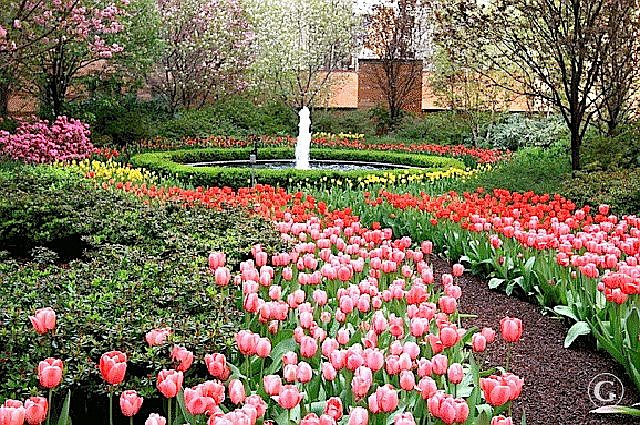 GARDEN ENTRANCE