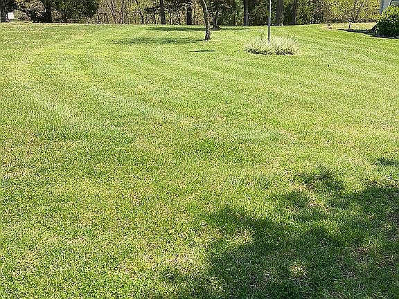 5th image of 2664 County Road 4043