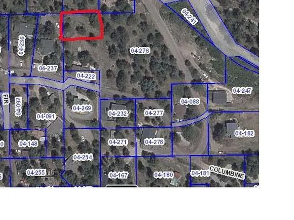 29663 Spruce Road, Evergreen, CO 80439