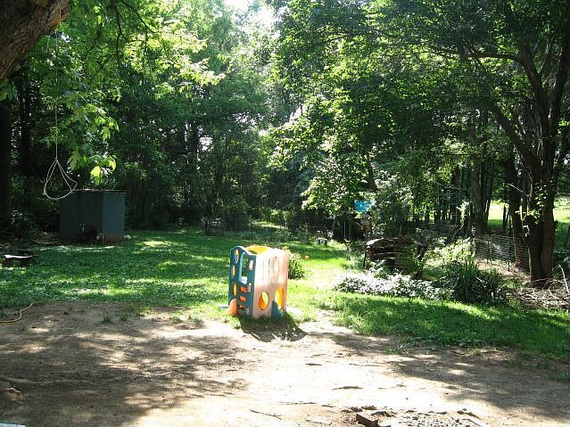 The Back Yard