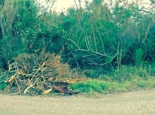 503 27th St S, Flagler Beach, FL 32136