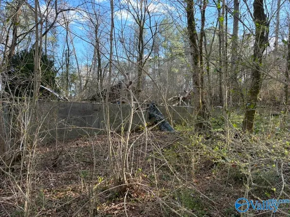 5288 State Highway 75, Horton, AL 35980