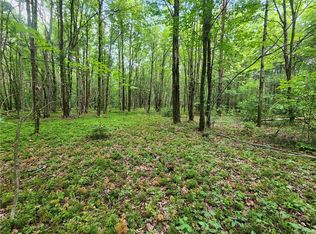 778 Beaver Meadow Rd, Smyrna, NY 13464