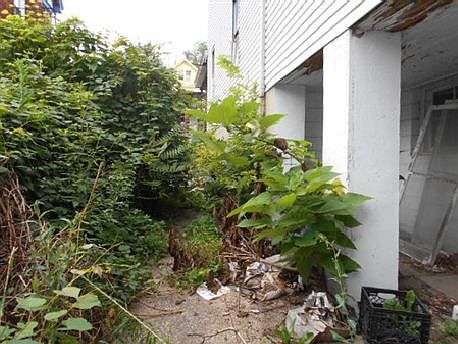 5th image of 4022 W Liberty St
