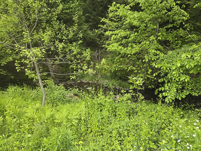 Sweet Pond Rd — Photo 7