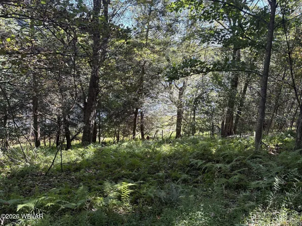 PARCEL 316 Lakeside Dr, Muncy Valley, PA 17758