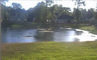 3rd image of 86741 Riverwood Dr