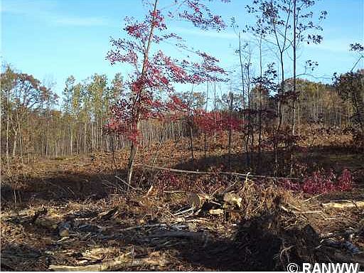 2nd image of 40Acres Walter Road