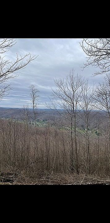 2nd image of Bowman Rd