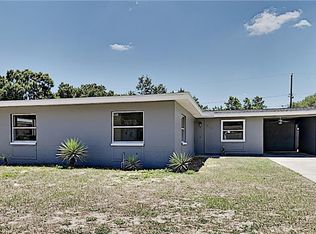 918 Alpine Dr, Brandon, FL 33510