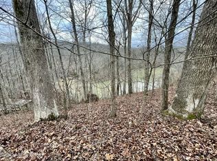 9 Serenity Cove Ln, Mammoth Cave, KY 42259