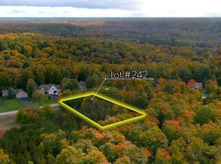 242 S Ridge Ct, Traverse City, MI 49696