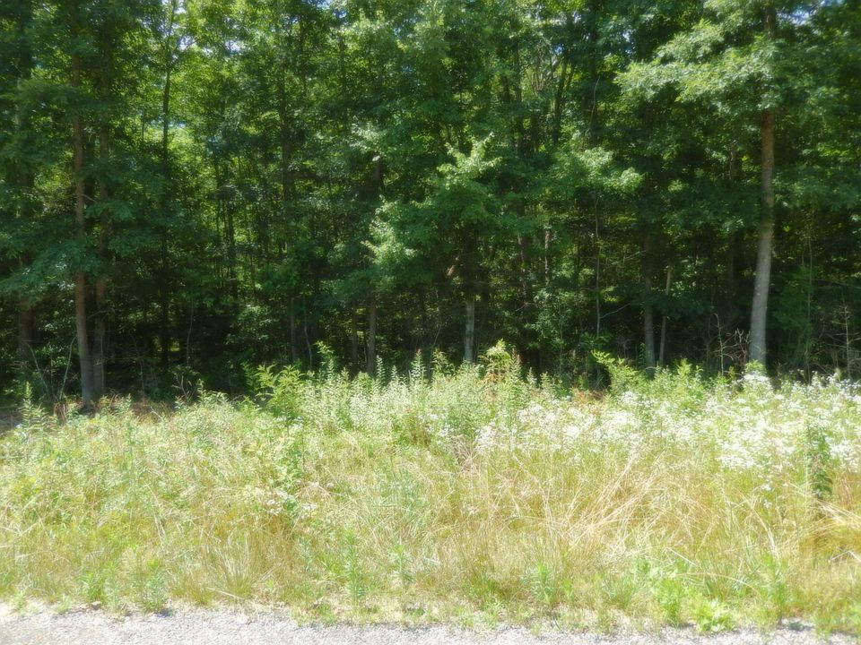 2nd image of 8184 Chief Red Cloud Dr