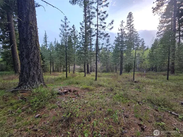 15 Lot Old Grove Trail, Cle Elum, WA 98922
