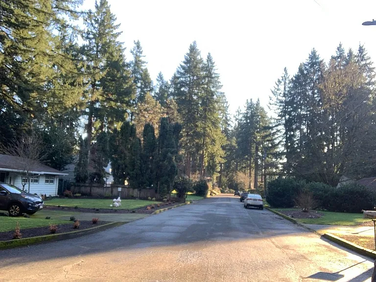 Neighborhood