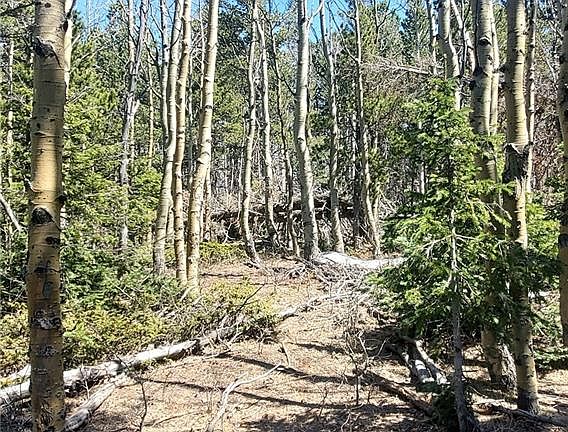 4th image of 2751 Grojean Drive LOT 2751