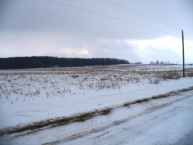 2nd image of W5015 Lone Rd