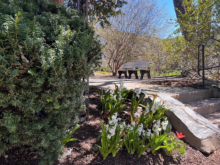 Metropolitan Bala Cynwyd — Photo 19